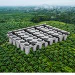 Parit Tray Media Tanam Fase Pre Nursery Sawit