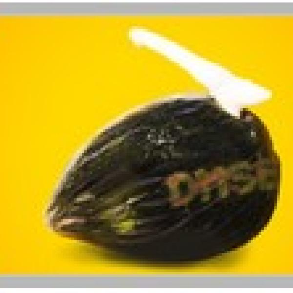 Dami Mas – Benih DxP Dami Mas